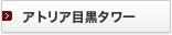 �A�g���A�ڍ��^���[