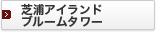 �ŉY�A�C�����h�@�u���[���^���[