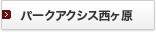 �p�[�N�A�N�V�X������