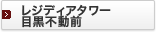 ���W�f�B�A�^���[�ڍ��s���O