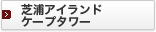 �ŉY�A�C�����h�P�[�v�^���[