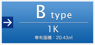 Btype 1K