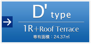 D'type 1R+Roof Terrace