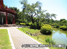 小石川植物園（物件から1km圏内）