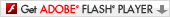 Get ADOBE FLASH PLAYER