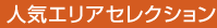 �l�C�G���A�Z���N�V����