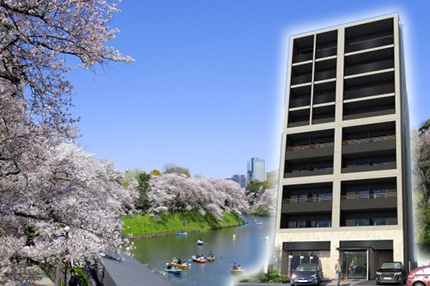 ＴＨＥ　ＡＸＩＳ　ＫＯＪＩＭＡＣＨＩ