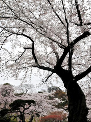 神楽坂エリアのポイント イメージ画像