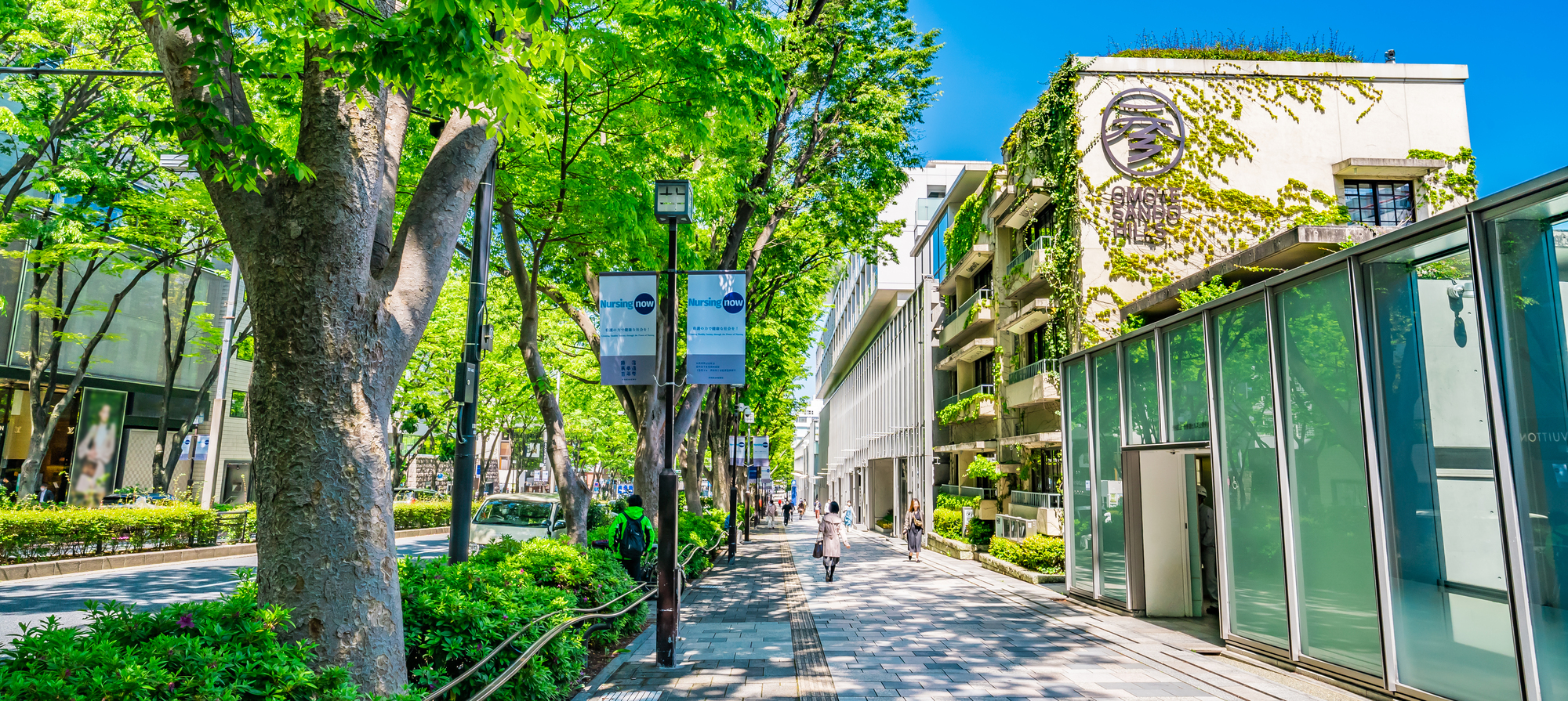 青山・表参道・原宿エリア