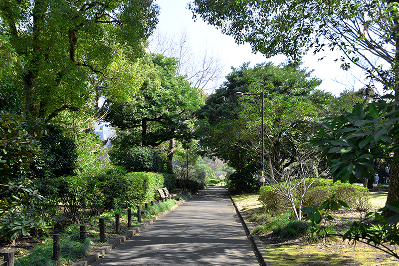 北の丸公園