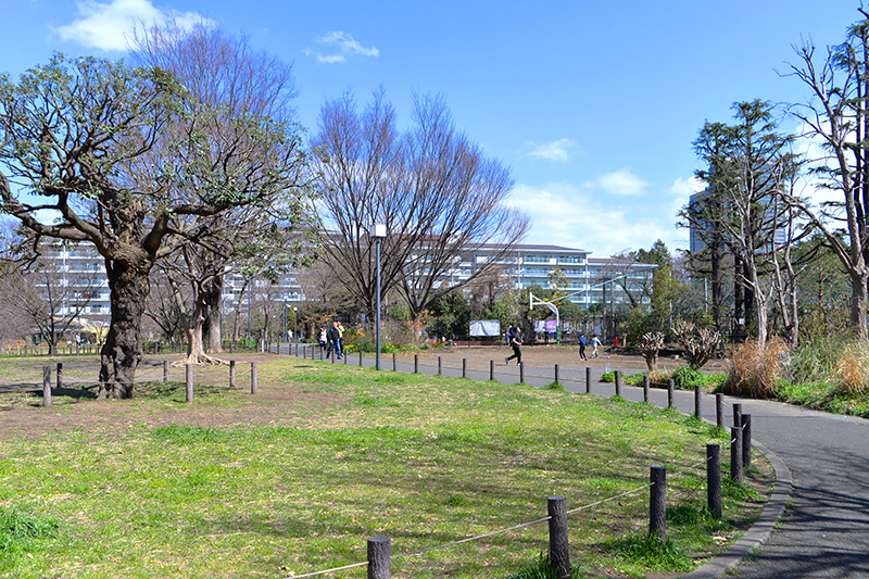 中目黒公園