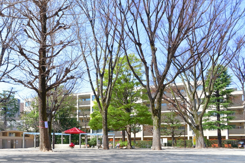 新宿区立白銀公園