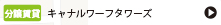 キャナルワーフタワーズ