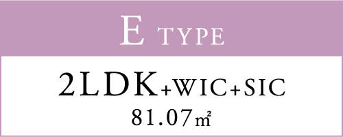 E TYPE