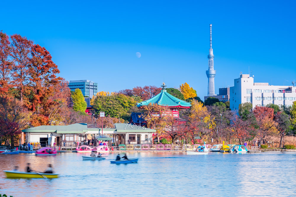 上野恩賜公園（物件から約2.9㎞）