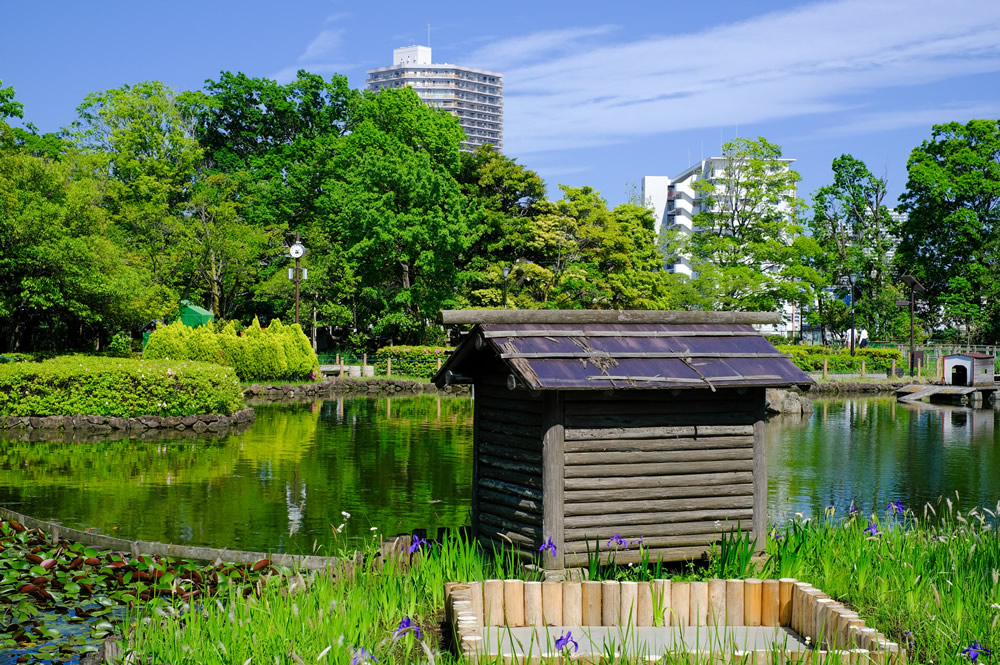 荒川自然公園（物件より約700ｍ）