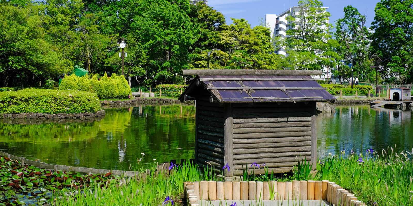 荒川自然公園（物件より約700ｍ）