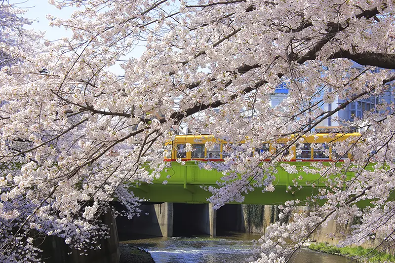 神田川