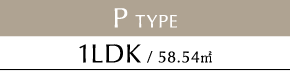 P TYPE