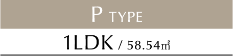 P TYPE