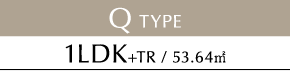 Q TYPE