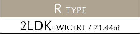 R TYPE