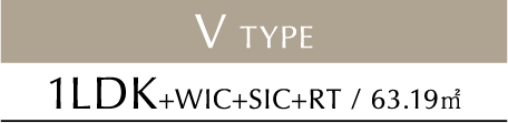 V TYPE