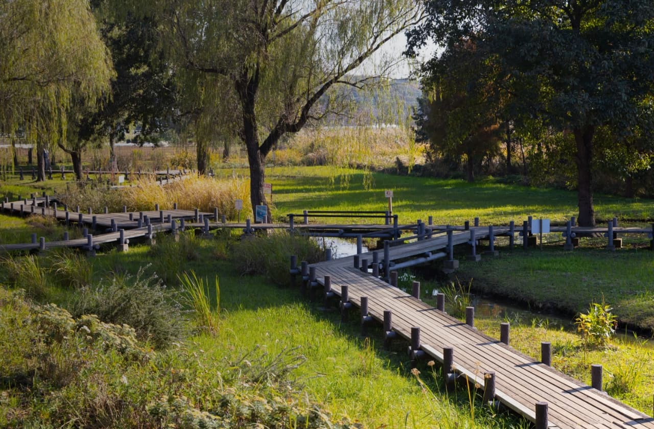 北柏ふるさと公園の画像