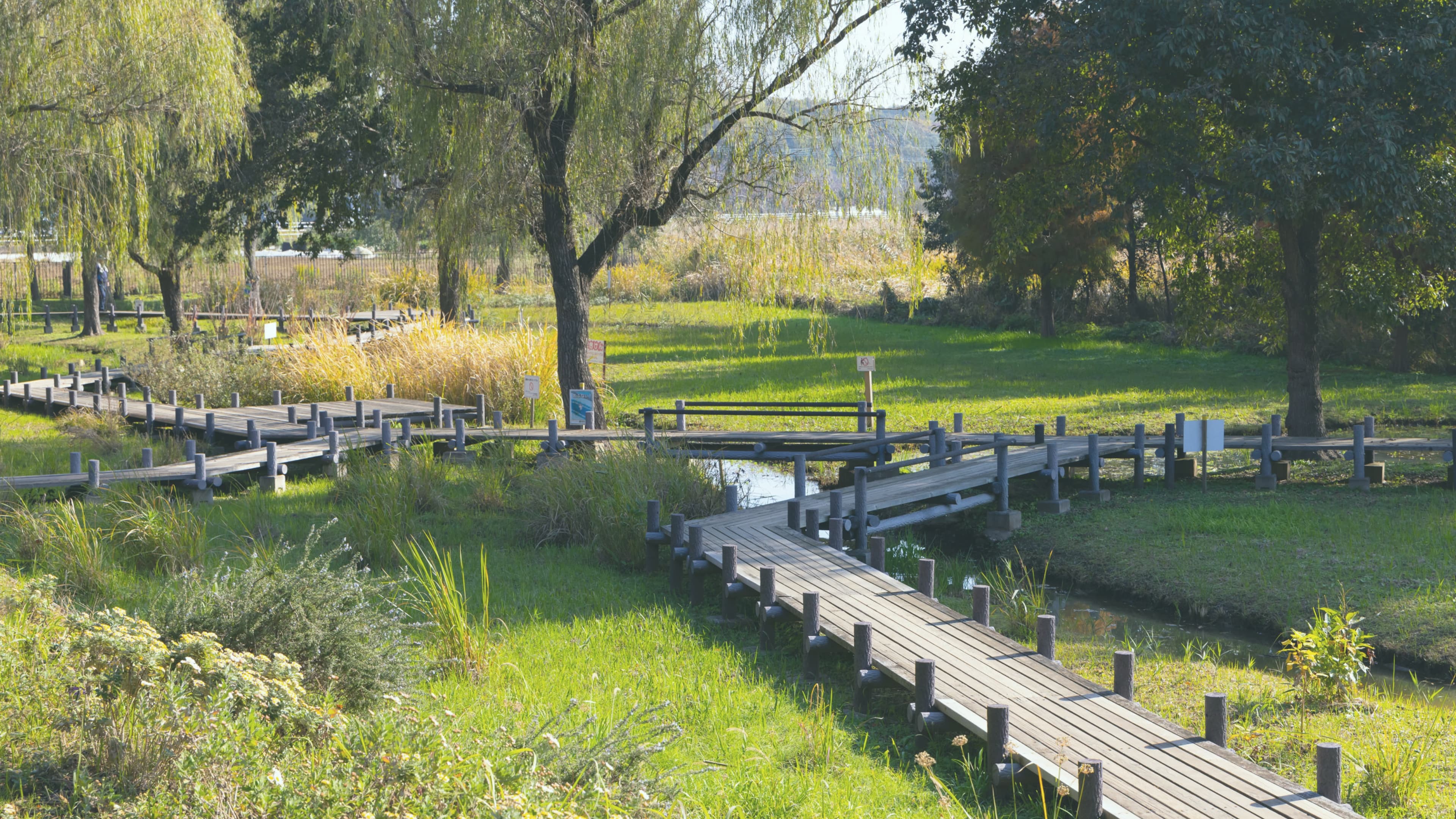 北柏ふるさと公園の画像