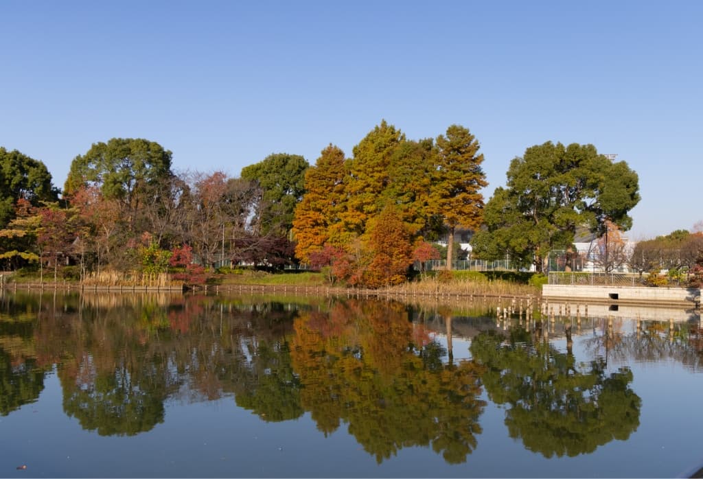 柏の葉公園の画像