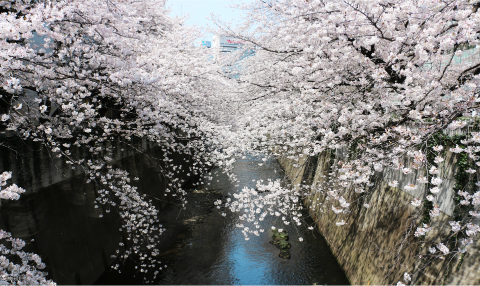 セリオ落合東中野 外観完成予想図