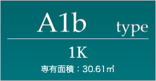 A1b