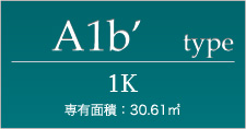 A1b'