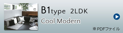 B1type