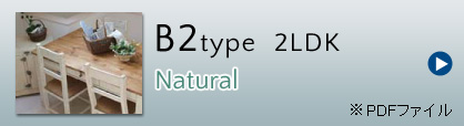 B2type