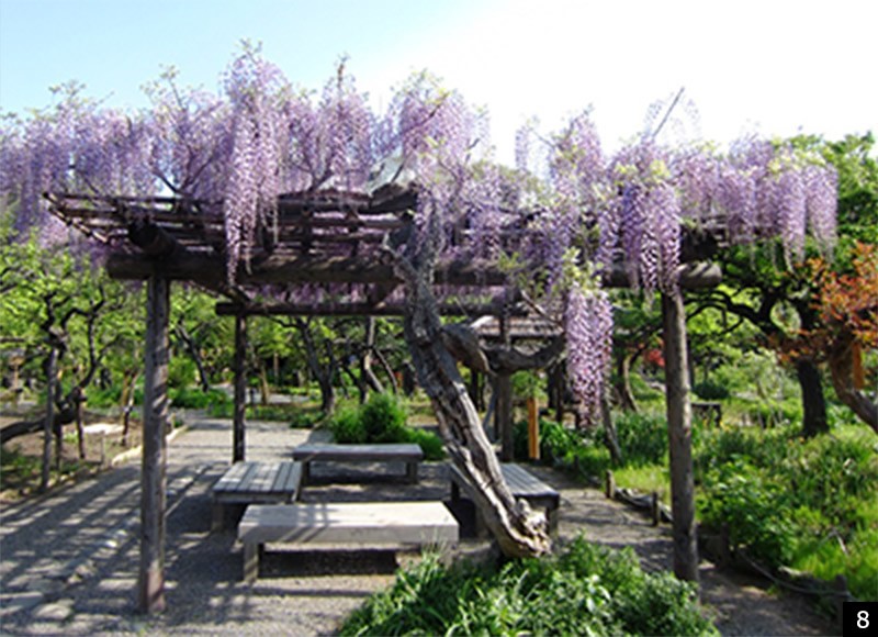 向島百花園（現地より約1,060m／徒歩14分）