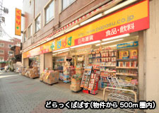 どらっぐぱぱす(物件まで徒歩500m圏内)
