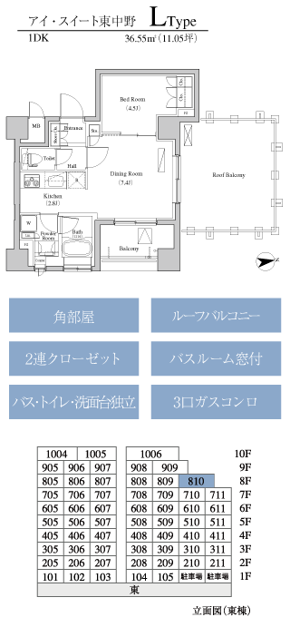 L Type
