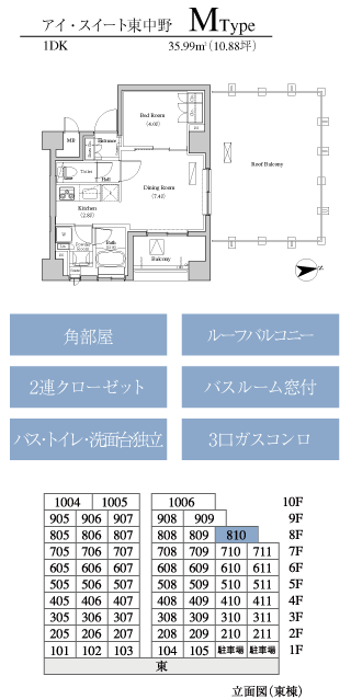M Type