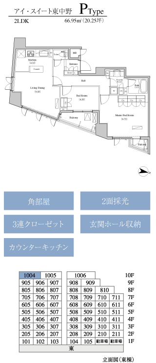 P Type