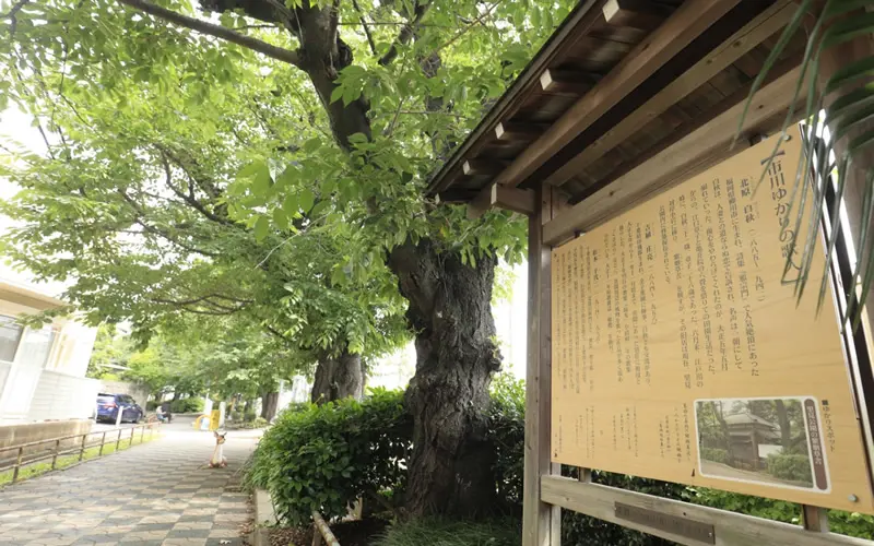 江戸川河川敷緑地