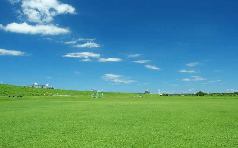 江戸川河川敷緑地