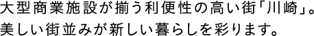 大型商業施設が揃う利便性の高い街「川崎」。美しい街並みが新しい暮らしを彩ります。