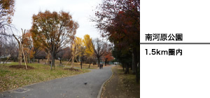 南河原公園 約200m 徒歩3分