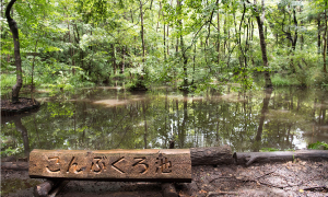 こんぶくろ池公園