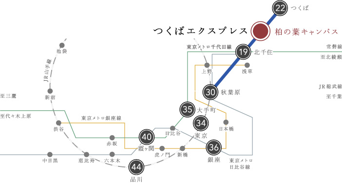 周辺地図