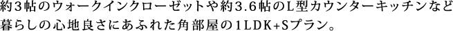 約3帖のウォークインクローゼットや約3.6帖のL型カウンターキッチンなど 暮らしの心地良さにあふれた角部屋の1LDK+Sプラン。