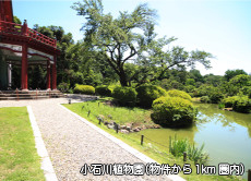 小石川植物園(物件から1km圏内)