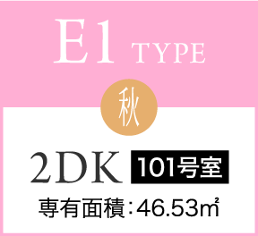 E1 TYPE 秋 2DK 101号室 専有面積：46.53㎡