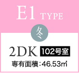 E1 TYPE 冬 2DK 102号室 専有面積：46.53㎡